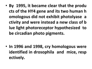 • By 1995, it became clear that the produ
cts of the HY4 gene and its two human h
omologous did not exhibit photolyase a
ctivity and were instead a new class of b
lue light photoreceptor hypothesized to
be circadian photo pigments.
• In 1996 and 1998, cry homologous were
identified in drosophila and mice, resp
ectively.
 