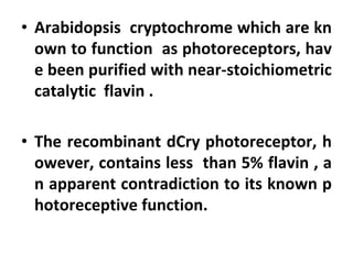 • Arabidopsis cryptochrome which are kn
own to function as photoreceptors, hav
e been purified with near-stoichiometric
catalytic flavin .
• The recombinant dCry photoreceptor, h
owever, contains less than 5% flavin , a
n apparent contradiction to its known p
hotoreceptive function.
 