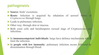 Cryptococcosis | PPTX