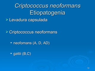 Criptococcus neoformans  Etiopatogenia Levadura capsulada Criptococcus neoformans  neofomans (A, D, AD)  gattii (B,C) 