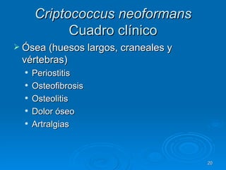 Criptococcus neoformans  Cuadro clínico Ósea (huesos largos, craneales y vértebras) Periostitis Osteofibrosis Osteolitis  Dolor óseo  Artralgias  