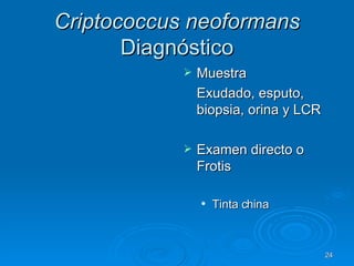 Criptococcus neoformans  Diagnóstico Muestra  Exudado, esputo, biopsia, orina y LCR Examen directo o Frotis Tinta china 