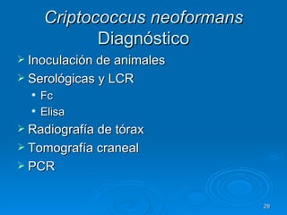 Criptococcus neoformans  Diagnóstico Inoculación de animales Serológicas y LCR Fc Elisa Radiografía de tórax Tomografía craneal PCR 