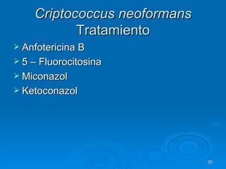 Criptococcus neoformans  Tratamiento Anfotericina B 5 – Fluorocitosina Miconazol Ketoconazol  