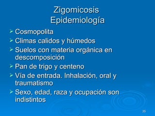 Zigomicosis  Epidemiología Cosmopolita  Climas calidos y húmedos Suelos con materia orgánica en descomposición Pan de trigo y centeno Vía de entrada. Inhalación, oral y traumatismo Sexo, edad, raza y ocupación son indistintos 