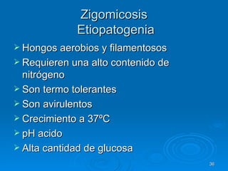 Zigomicosis  Etiopatogenia Hongos aerobios y filamentosos Requieren una alto contenido de nitrógeno  Son termo tolerantes Son avirulentos Crecimiento a 37ºC pH acido Alta cantidad de glucosa 