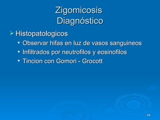Zigomicosis  Diagnóstico Histopatologicos Observar hifas en luz de vasos sanguineos Infiltrados por neutrofilos y eosinofilos Tincion con Gomori - Grocott 