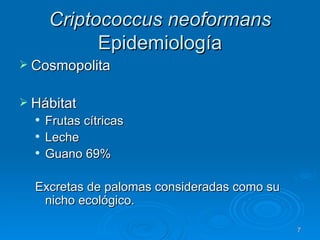 Criptococcus neoformans  Epidemiología Cosmopolita Hábitat Frutas cítricas Leche Guano 69% Excretas de palomas consideradas como su nicho ecológico. 