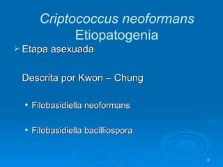 Etapa asexuada Descrita por Kwon – Chung Filobasidiella neoformans Filobasidiella bacilliospora Criptococcus neoformans  Etiopatogenia 