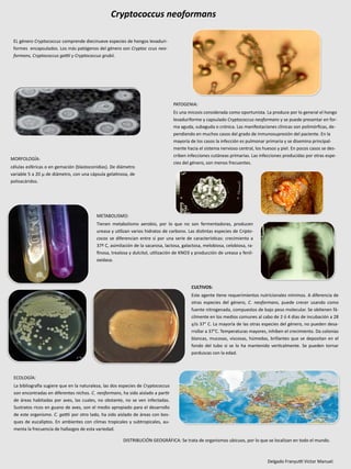 Cryptococcus neoformans 
ECOLOGÍA: 
La bibliografía sugiere que en la naturaleza, las dos especies de Cryptococcus 
son encontradas en diferentes nichos. C. neoformans, ha sido aislado a partir 
de áreas habitadas por aves, las cuales, no obstante, no se ven infectadas. 
Sustratos ricos en guano de aves, son el medio apropiado para el desarrollo 
de este organismo. C. gattii por otro lado, ha sido aislado de áreas con bos-ques 
de eucaliptos. En ambientes con climas tropicales y subtropicales, au-menta 
la frecuencia de hallazgos de esta variedad. 
CULTIVOS: 
Este agente tiene requerimientos nutricionales mínimos. A diferencia de 
otras especies del género, C. neoformans, puede crecer usando como 
fuente nitrogenada, compuestos de bajo peso molecular. Se obtienen fá-cilmente 
en los medios comunes al cabo de 2 ó 4 días de incubación a 28 
y/o 37° C. La mayoría de las otras especies del género, no pueden desa-rrollar 
a 37°C. Temperaturas mayores, inhiben el crecimiento. Da colonias 
blancas, mucosas, viscosas, húmedas, brillantes que se depositan en el 
fondo del tubo si se lo ha mantenido verticalmente. Se pueden tornar 
parduscas con la edad. 
MORFOLOGÍA: 
células esféricas o en gemación (blastoconidias). De diámetro 
variable 5 a 20 μ de diámetro, con una cápsula gelatinosa, de 
polisacáridos. 
METABOLISMO: 
Tienen metabolismo aerobio, por lo que no son fermentadoras, producen 
ureasa y utilizan varios hidratos de carbono. Las distintas especies de Cripto-cocos 
se diferencian entre sí por una serie de características: crecimiento a 
37º C, asimilación de la sacarosa, lactosa, galactosa, melobiosa, celobiosa, ra-finosa, 
trealosa y dulcitol, utilización de KNO3 y producción de ureasa y fenil-oxidasa. 
DISTRIBUCIÓN GEOGRÁFICA: Se trata de organismos ubicuos, por lo que se localizan en todo el mundo. 
PATOGENIA: 
Es una micosis considerada como oportunista. La produce por lo general el hongo 
levaduriforme y capsulado Cryptococcus neoformans y se puede presentar en for-ma 
aguda, subaguda o crónica. Las manifestaciones clínicas son polimórficas, de-pendiendo 
en muchos casos del grado de inmunosupresión del paciente. En la 
mayoría de los casos la infección es pulmonar primaria y se disemina principal-mente 
hacia el sistema nervioso central, los huesos y piel. En pocos casos se des-criben 
infecciones cutáneas primarias. Las infecciones producidas por otras espe-cies 
del género, son menos frecuentes. 
EL género Cryptococcus comprende diecinueve especies de hongos levaduri-formes 
encapsulados. Los más patógenos del género son Cryptoc ccus neo-formans, 
Cryptococcus gattii y Cryptococcus grubii. 
Delgado Franyutti Victor Manuel. 
