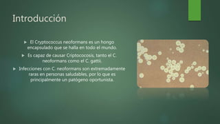Cryptococcus neoformans | PPTX