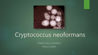 Cryptococcus neoformans
TOMMY PAUL GUERRERO
PAOLO CASINI
 