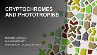 Cryptoctober cryptoctochromes and phototropins | PPTX