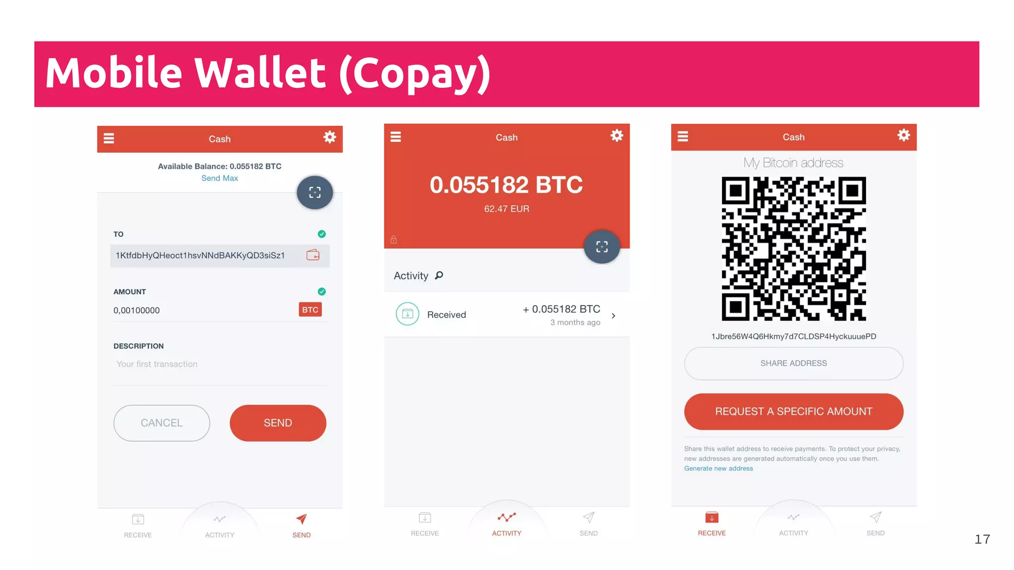 Mobile Wallet (Copay)
17
 