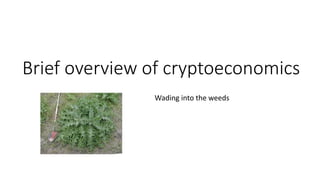 Brief overview of cryptoeconomics
Wading into the weeds
 