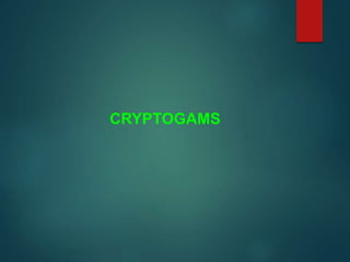 CRYPTOGAMS
 