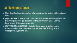 (2) Planktonic Algae :-
 They float freely on the surface of water & can be further differentiated
into
 (A) EUPLANKTONIC – True planktons which are free floating from the
beginning & never get attached to the substratum. E.g. – Volvox,
Cosmarium, Chlamydomonas, etc.
 (B) TYCHOPLANKTONS – Initially these algae attached to the
substratum but later they detach & become free floating, E.g. –
Cladophora, Zygnema, etc.
 