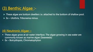 (3) Benthic Algae :-
 These algae are bottom dwellers i.e. attached to the bottom of shallow pool.
 Ex – Ulothrix, Tribonema minus.
(4) Neutronic Algae :-
 These algae grow at air water interface. The algae growing in sea water are
commonly known as marine algae (Seaweeds)
 Ex – Botrydiopsis, Chromatophyton
 