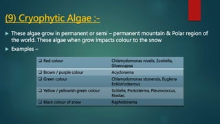 (9) Cryophytic Algae :-
 These algae grow in permanent or semi – permanent mountain & Polar region of
the world. These algae when grow impacts colour to the snow
 Examples –
 Red colour Chlamydomonas nivalis, Scotiella,
Gloeocapsa
 Brown / purple colour Acyclonema
 Green colour Chlamydomonas stonensis, Euglena
Enkistrodesmus
 Yellow / yellowish green colour Scitiella, Protoderma, Pleurococcus,
Nostac.
 Black colour of snow Raphidonema
 