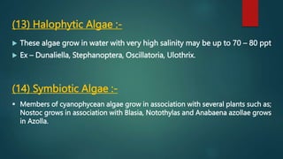 (13) Halophytic Algae :-
 These algae grow in water with very high salinity may be up to 70 – 80 ppt
 Ex – Dunaliella, Stephanoptera, Oscillatoria, Ulothrix.
(14) Symbiotic Algae :-
 Members of cyanophycean algae grow in association with several plants such as;
Nostoc grows in association with Blasia, Notothylas and Anabaena azollae grows
in Azolla.
 