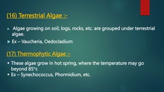 (16) Terrestrial Algae :-
 Algae growing on soil, logs, rocks, etc. are grouped under terrestrial
algae.
 Ex – Vaucheria, Oedocladium
(17) Thermophytic Algae :-
 These algae grow in hot spring, where the temperature may go
beyond 85c
 Ex – Synechococcus, Phormidium, etc.
 