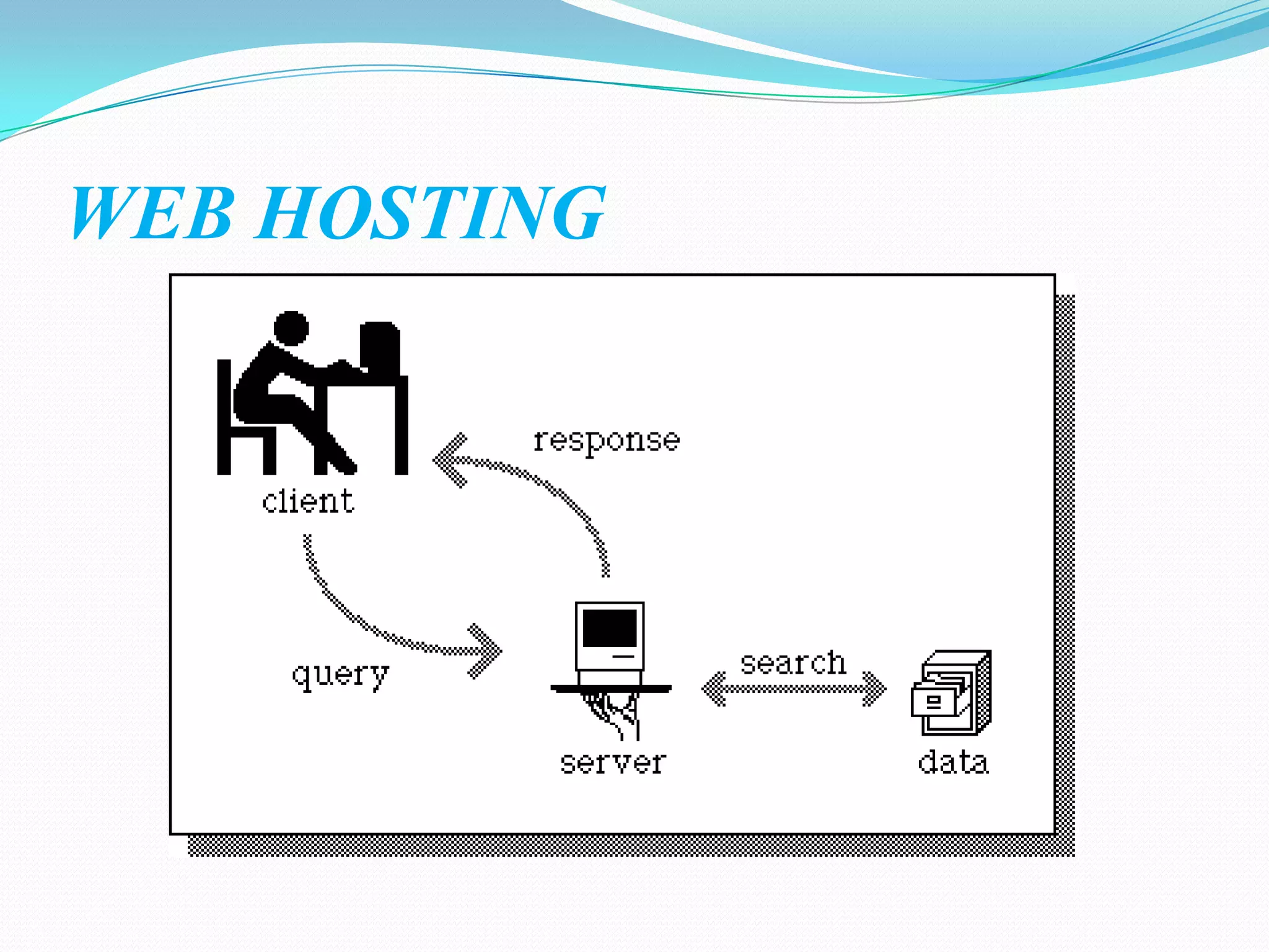 WEB HOSTING
 