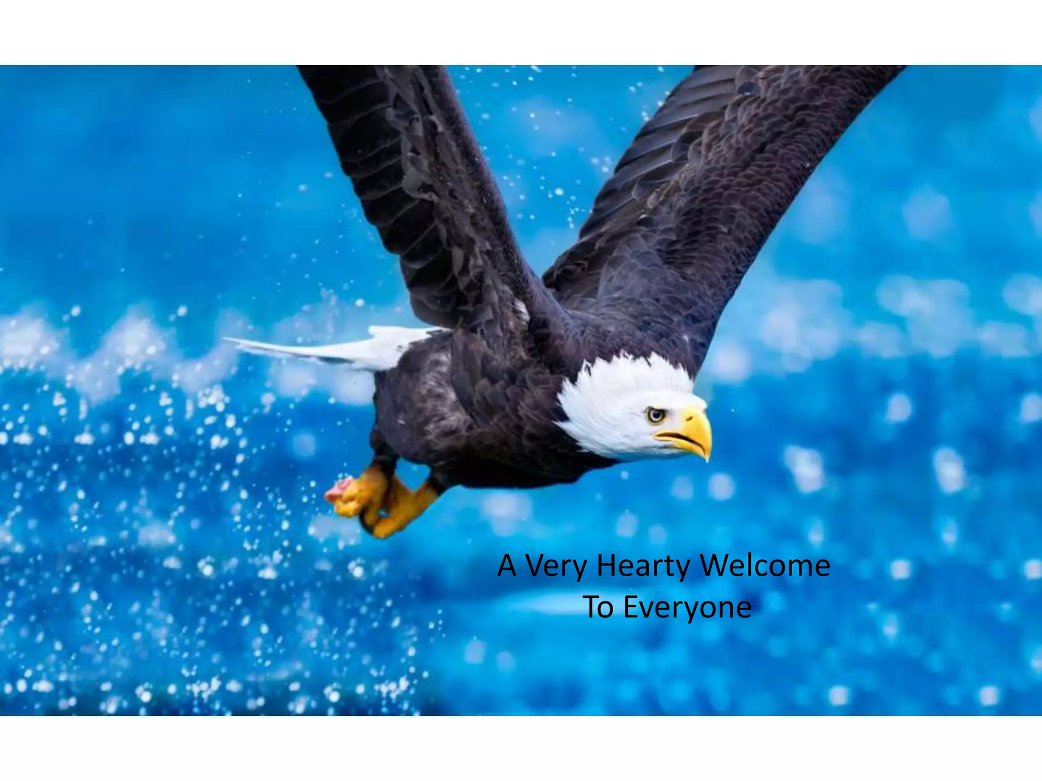 A Very Hearty Welcome
To Everyone
 