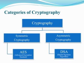 Cryptography | PPT