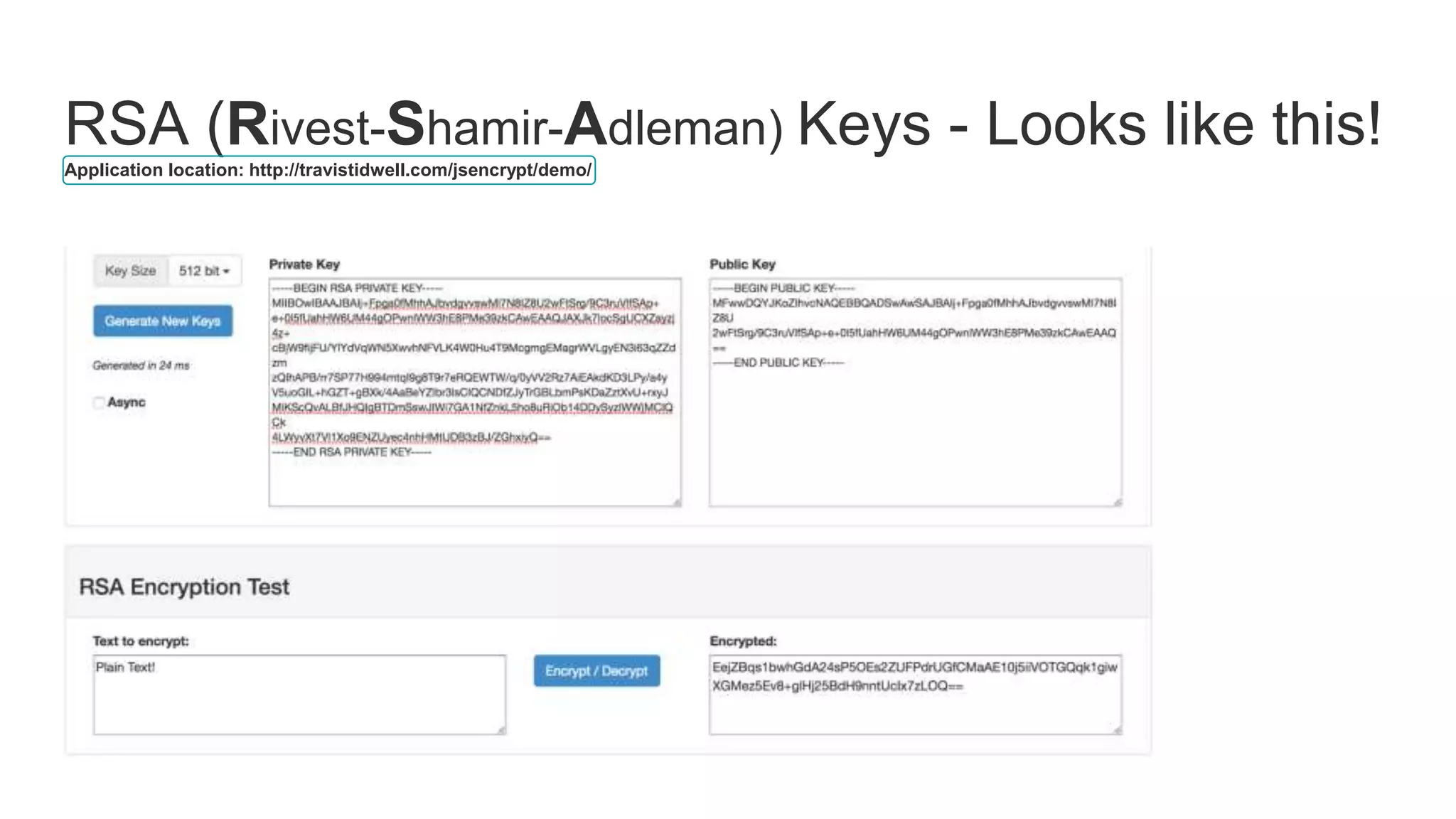 RSA (Rivest-Shamir-Adleman) Keys - Looks like this!
Application location: http://travistidwell.com/jsencrypt/demo/
 
