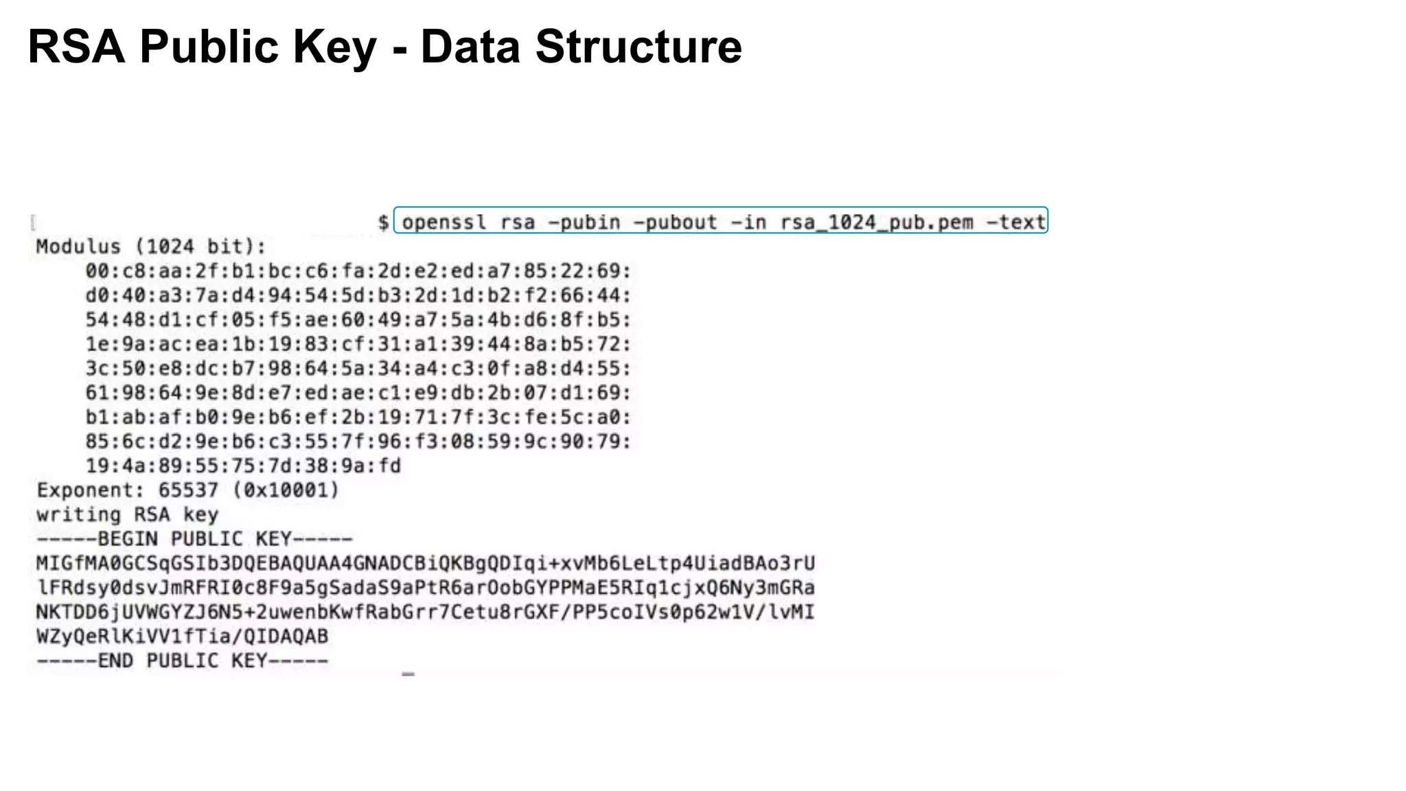 RSA Public Key - Data Structure
 