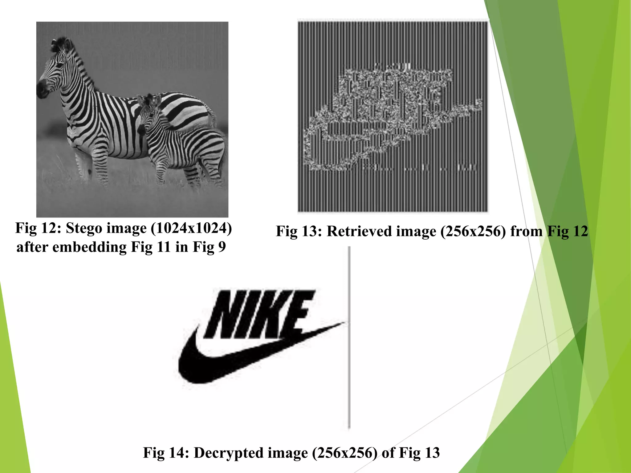 Fig 12: Stego image (1024x1024)
after embedding Fig 11 in Fig 9
Fig 13: Retrieved image (256x256) from Fig 12
Fig 14: Decrypted image (256x256) of Fig 13
 