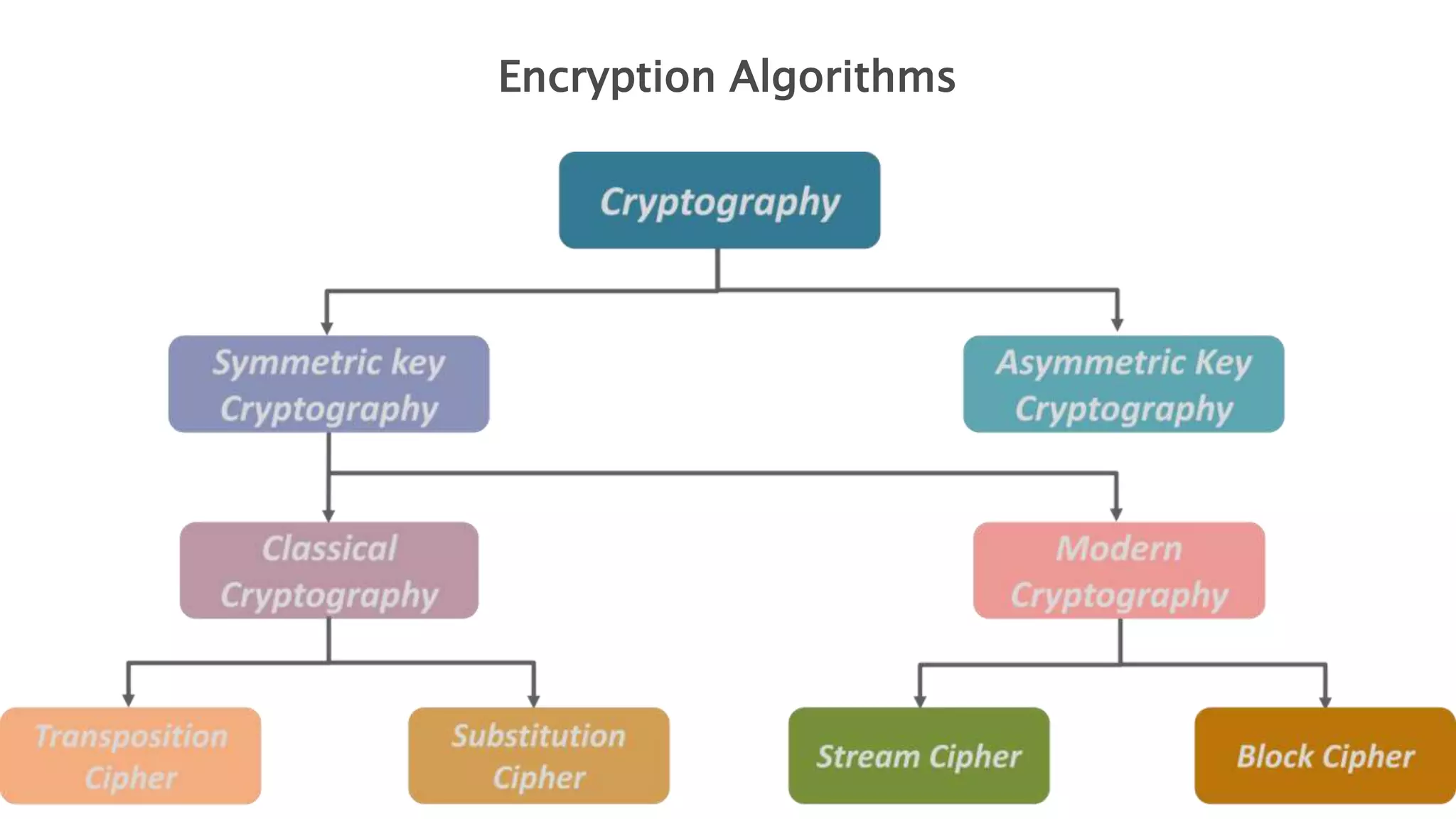 Encryption Algorithms
 