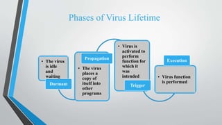 Phases of Virus Lifetime
• The virus
is idle
and
waiting
Dormant
• The virus
places a
copy of
itself into
other
programs
Propagation
• Virus is
activated to
perform
function for
which it
was
intended
Trigger
• Virus function
is performed
Execution
 