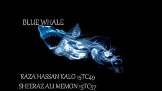BLUE WHALE
RAZA HASSAN KALO 15TC49
SHEERAZ ALI MEMON 15TC57
 