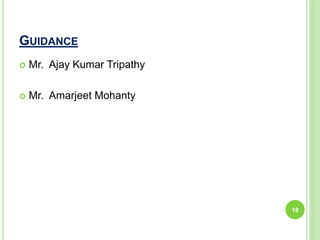 GUIDANCE
 Mr. Ajay Kumar Tripathy
 Mr. Amarjeet Mohanty
18
 
