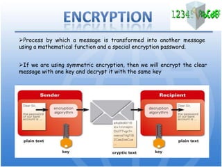 Formed from the Greek words kryptós, "hidden", and logos, "word".