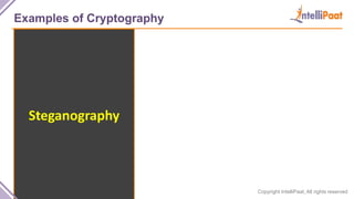 Copyright IntelliPaat, All rights reserved
Examples of Cryptography
Steganography
 