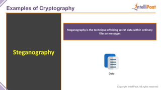 Copyright IntelliPaat, All rights reserved
Examples of Cryptography
Steganography
Steganography is the technique of hiding secret data within ordinary
files or messages
Data
 