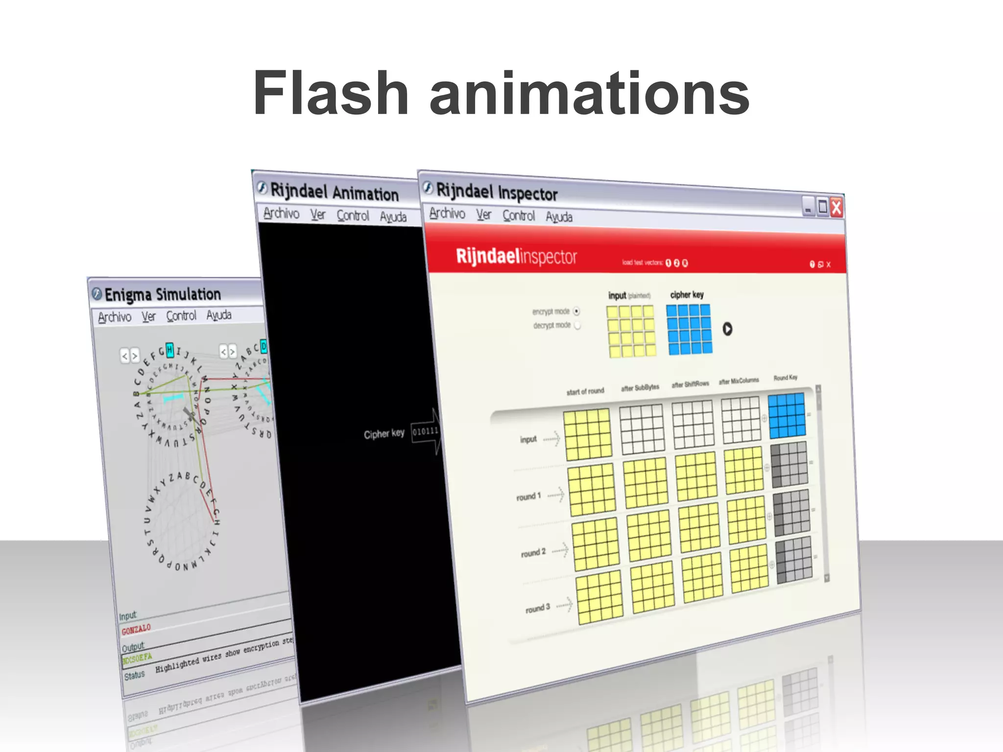 Flash animations