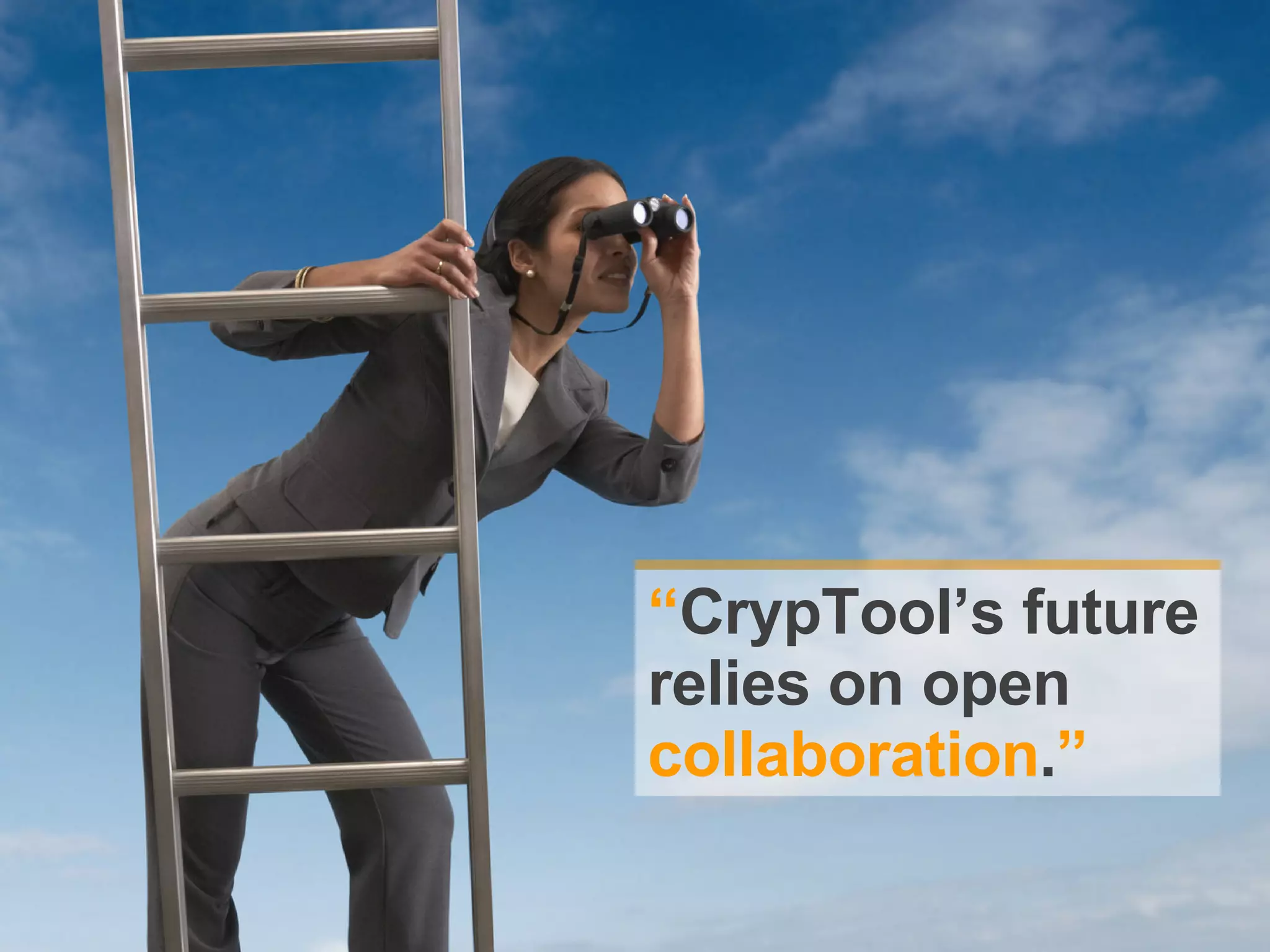 “ CrypTool’s future relies on open collaboration . ”