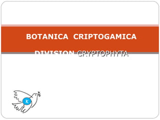 BOTANICA  CRIPTOGAMICA DIVISION  CRYPTOPHYTA K 