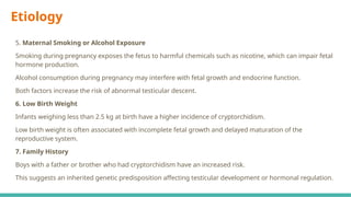 Etiology
5. Maternal Smoking or Alcohol Exposure
Smoking during pregnancy exposes the fetus to harmful chemicals such as nicotine, which can impair fetal
hormone production.
Alcohol consumption during pregnancy may interfere with fetal growth and endocrine function.
Both factors increase the risk of abnormal testicular descent.
6. Low Birth Weight
Infants weighing less than 2.5 kg at birth have a higher incidence of cryptorchidism.
Low birth weight is often associated with incomplete fetal growth and delayed maturation of the
reproductive system.
7. Family History
Boys with a father or brother who had cryptorchidism have an increased risk.
This suggests an inherited genetic predisposition affecting testicular development or hormonal regulation.
 