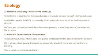 Etiology
3. Hormonal Deficiency (Testosterone or INSL3)
Testosterone is essential for the second phase of testicular descent through the inguinal canal.
Insulin-like peptide 3 (INSL3), produced by fetal Leydig cells, is required for the first phase of
descent.
Deficiency or reduced action of these hormones prevents normal migration of the testes into
the scrotum.
4. Abnormal Gubernaculum Development
The gubernaculum is a fibrous cord that guides the testes from the abdomen into the scrotum.
If it is absent, short, poorly developed, or abnormally attached, the testes cannot descend
properly.
This results in an undescended testis.
 