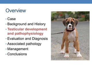 Overview
• Case
• Background and History
• Testicular development
and pathophysiology
• Evaluation and Diagnosis
• Associated pathology
• Management
• Conclusions
 