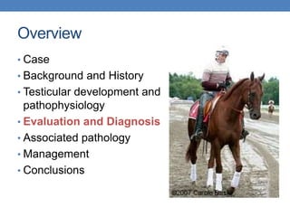 Overview
• Case
• Background and History
• Testicular development and
pathophysiology
• Evaluation and Diagnosis
• Associated pathology
• Management
• Conclusions
 