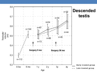 Descended
testis
 