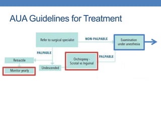AUA Guidelines for Treatment
 