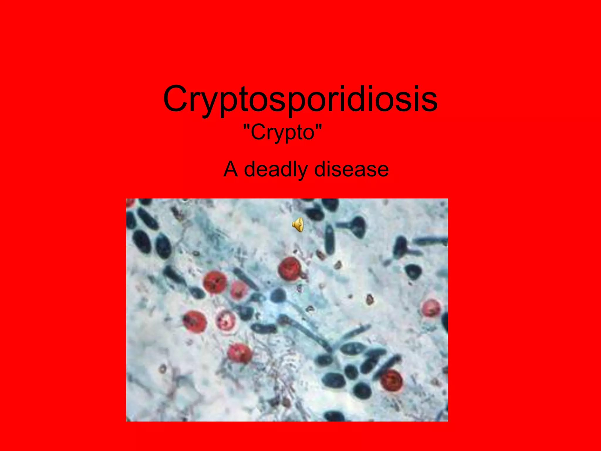Cryptosporidiosis | PPTX