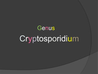Genus
Cryptosporidium
 
