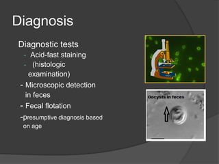 Diagnosis
Diagnostic tests
- Acid-fast staining
- (histologic
examination)
- Microscopic detection
in feces
- Fecal flotation
-presumptive diagnosis based
on age
 